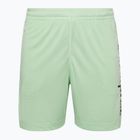 Spodenki męskie Champion Legacy light green