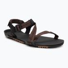 Sandały barefoot męskie Xero Shoes Z-Trail EV multi/brown