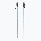 Kije narciarskie Fischer RC4 Noize grey / blue
