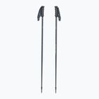 Kije narciarskie Fischer Lite asphalt grey