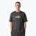 Koszulka męska The North Face Expedition Celebration Oversized anthracite grey