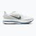 Buty do biegania męskie Nike Pegasus Premium white/hydrogen blue/aluminum/grey fog