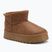 Śniegowce damskie Lee Cooper LCJ-25-32-3653L tan