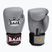 Rękawice bokserskie RAJA BOXING Single Standard Genuine Leather grey