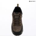 Buty trekkingowe męskie REGATTA Blake Low peat/wood 18
