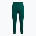 Spodnie męskie Reebok Identity Small Logo Fleece Jogger collegiate green 4