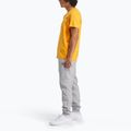 Koszulka męska Reebok Identity Small Logo Tee electric amber 2