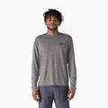 Longsleeve męski Patagonia Cap Cool Daily Graphic Shirt 73 skyline/feather grey