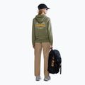 Bluza damska Napapijri B-Faber green lichen 4