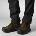 Buty turystyczne Salomon Quest Tracker GTX earth brown/green/black 8