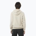 Bluza męska Salomon Logo Hoodie rainy day 2