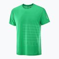 Koszulka do biegania męska Salomon Sense Aero Tee GFX parakeet/spearmintme 4