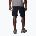 Spodenki trekkingowe męskie Columbia Silver Ridge Utility black 2
