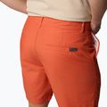 Spodenki trekkingowe męskie Columbia Washed Out tuscan 6