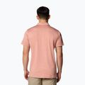 Koszulka męska Columbia Tech Trail Utility Polo tuscan heather 3