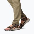 Sandały męskie Columbia Peakfreak Rush cordovan pebble 8