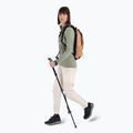 Bluza damska icebreaker Merino 260 Quantum IV Zip Hoodie lichen 6