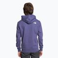 Bluza męska The North Face Standard Hoodie cave blue 2
