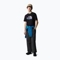 Koszulka męska The North Face Mountain Line Tee tnf black 2