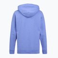 Bluza Patagonia P-6 Logo Uprisal abundant blue 2