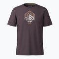 Koszulka trekkingowa męska Smartwool Peak Energy Active Graphic mink heather 3