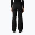 Spodnie narciarskie damskie The North Face Lenado Regular black 3