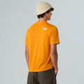 Koszulka męska The North Face Multiple Placement mushroom ember 3