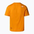 Koszulka męska The North Face Multiple Placement mushroom ember 5