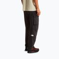 Spodnie trekkingowe męskie The North Face Exploration Cargo tnf black 3
