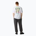 Koszulka męska The North Face Expedition Celebration Oversized white 3