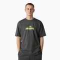 Koszulka męska The North Face Expedition Celebration Oversized anthracite grey
