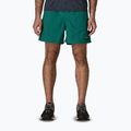 Spodenki męskie Patagonia Baggies 5" 95 oval logo/gem green
