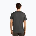 Koszulka męska icebreaker Merino 150 Tech Lite Bear Catch Tee obsidian 3