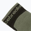Skarpety męskie icebreaker Merino Hike+ Light Mini dark loden/lichen 3