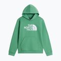 Bluza dziecięca The North Face Essential Drew Peak Hoodie dimmed algae