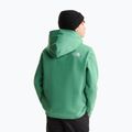 Bluza dziecięca The North Face Essential Drew Peak Hoodie dimmed algae 5
