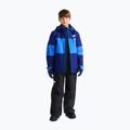 Spodnie narciarskie dziecięce The North Face Freedom Insulated Bib tnf black 4