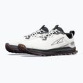 Buty do biegania męskie Altra Lone Peak 9+ vaporous grey/berry 9