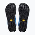 Buty do biegania męskie Altra Lone Peak 9+ victoria blue/gray 11