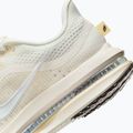 Buty do biegania damskie Nike Pegasus Premium sail/alabaster/anthracite/white 9