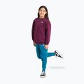 Bluza dziecięca Nike Sportswear Club Fleece bordeaux/white 6