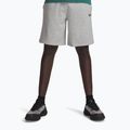 Spodenki treningowe męskie Under Armour Rival LW mod gray light heather/black
