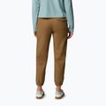 Spodnie trekkingowe damskie Columbia ROC Ripstop Jogger delta 3