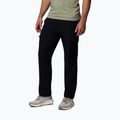 Spodnie trekkingowe męskie Columbia ROC Tech Cargo black 4