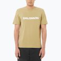 Koszulka męska Salomon Logo gray green