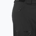 Spodnie narciarskie męskie Salomon Brilliant deep black 3