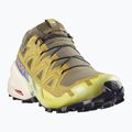 Buty do biegania męskie Salomon Speedcross 6 GTX grape leaf/aspargus green 9
