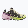 Buty do biegania damskie Salomon Speedcross 6 GTX bog/dawn pink 8