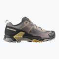 Buty trekkingowe męskie Salomon X Ultra 5 cloudburst/black/willow 8