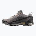 Buty trekkingowe męskie Salomon X Ultra 5 cloudburst/black/willow 9